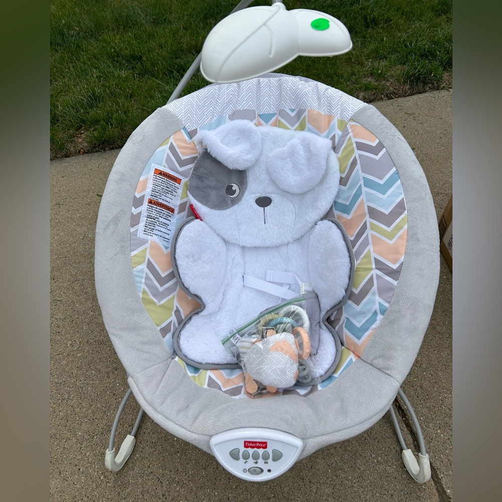 Fisher-Price Cozy Dog Baby Bouncer with Chevron Pattern